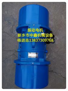 振動(dòng)電機(jī)